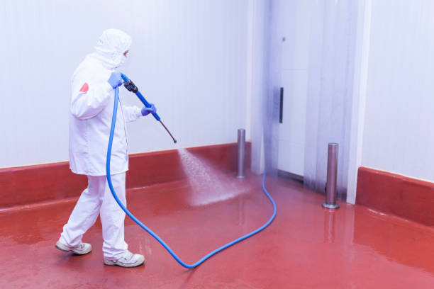 Best Window and Screen Pressure Cleaning in Sac City, IA