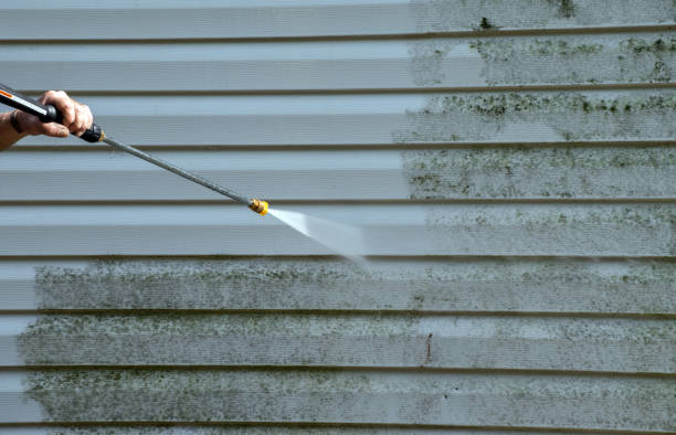 Best Driveway Cleaning and Restoration in Sac City, IA