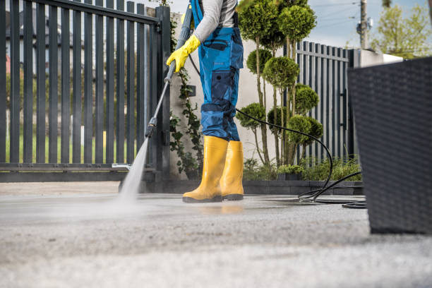 Best Soft Washing for Delicate Surfaces in Sac City, IA